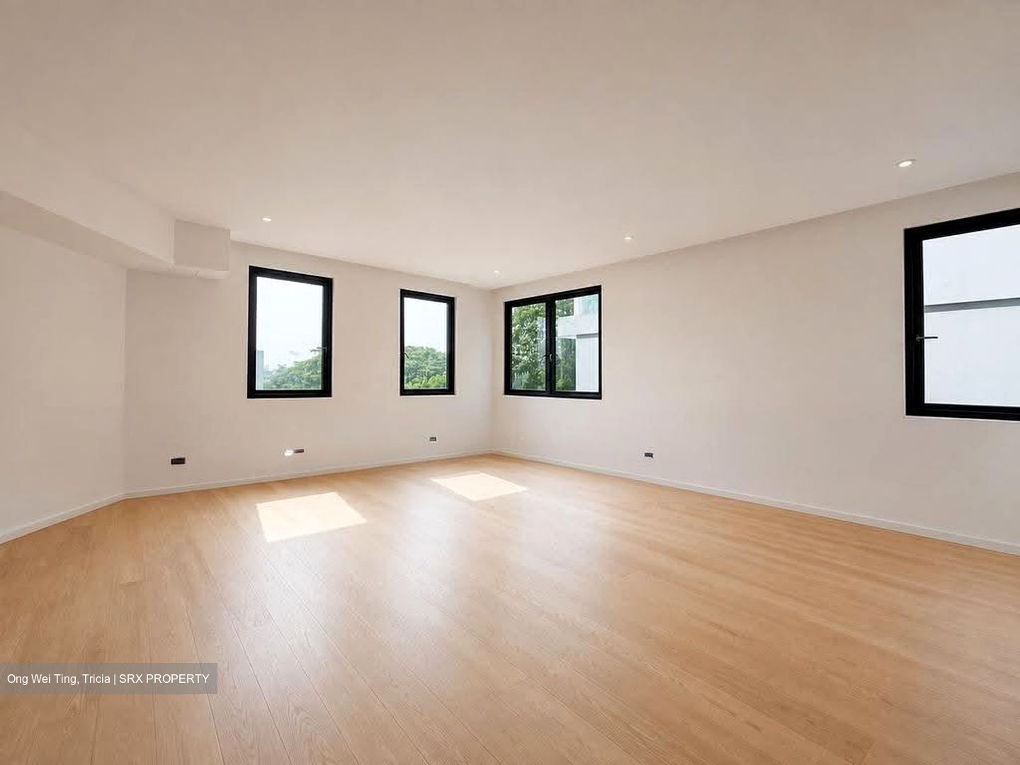 Watten Estate (D11), Detached #607163181